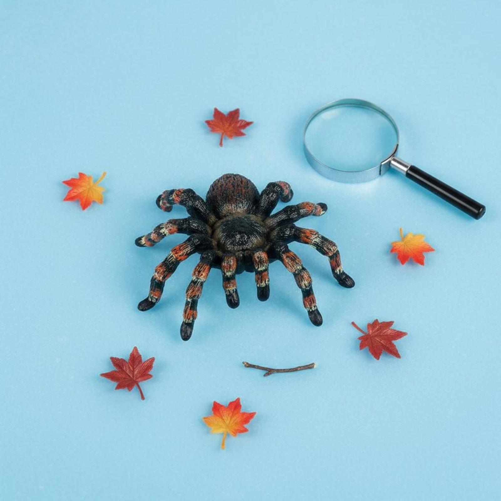 Figurka Entomologiczna Zabawka – Kids Toys Learning recenzja i cena